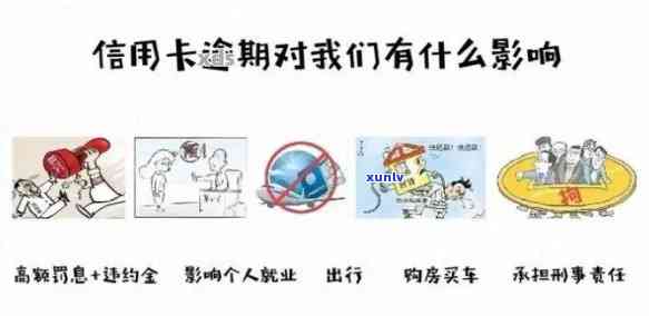 信用卡逾期客户类型解析：全面了解各类信用问题及其影响