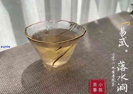 小孩饮用普洱茶水的安全性和适当摄入量：一天几次？