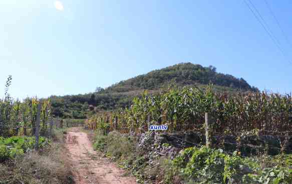 莱阳鹤山小区的地理位置及周边街道办事处概览