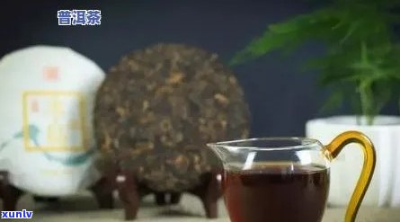 冰岛生普洱茶冲泡技巧：掌握步骤，品尝原生态的味道