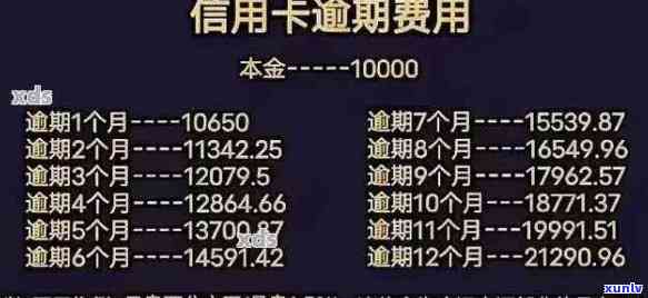 账单逾期：信用卡使用与信用修复的关键影响因素探讨