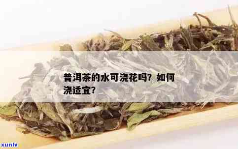 普洱茶水可以浇花吗？怎么浇？百度百科告诉你。