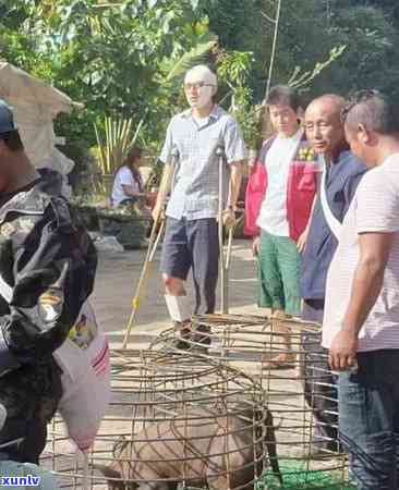 普洱茶直播营销案例：话术、玩法、带货、文案一网打尽！