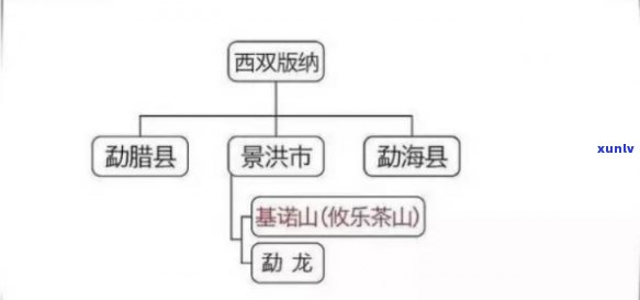 临沧普洱茶产区全解析：山头特点、品种分类与品鉴技巧一网打尽