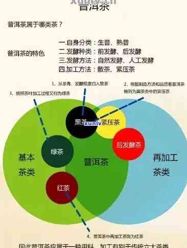 全面解析普洱茶加盟：如何选择合适的加盟商、优势及盈利模式