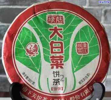 之一代大白菜普洱茶