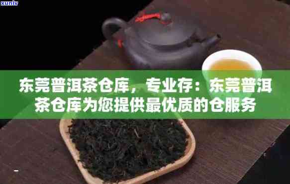 东莞普洱茶仓加盟 *** 地址