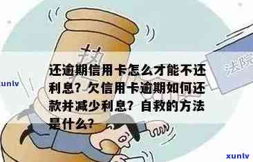 信用卡丢失引发的逾期还款问题全攻略：如何应对、补救和预防