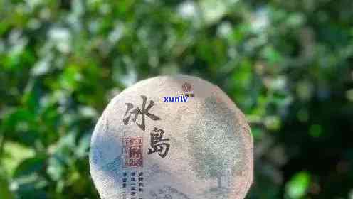 冰岛古树普洱茶珍藏品：云南高山韵味的独特馈赠