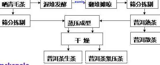 从STP角度全面解析普洱茶：了解其 *** 过程、品质特征与市场现状