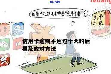 长期信用卡逾期不处理：后果与应对策略