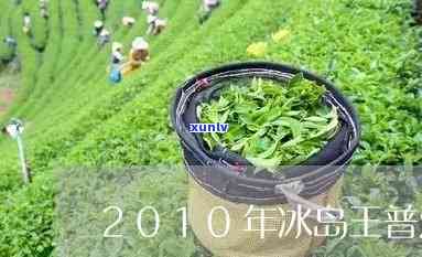 老罗讲普洱冰岛茶王