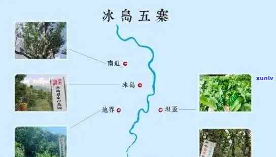 冰岛普洱茶产地及主要产茶县一览：寻找冰岛普洱茶的完美之旅