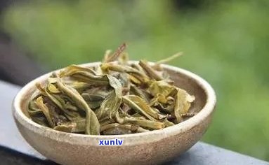 探索冰岛茶与普洱茶的区别：两种独特的风味究竟有何不同？