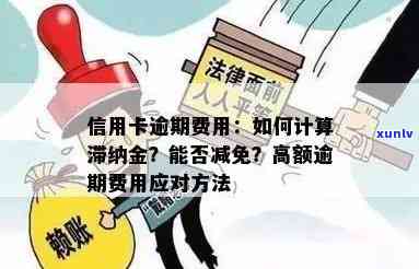 翡翠糯种绿花镯子