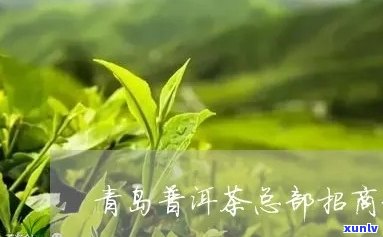 青岛普洱茶加盟招商热线，打造高品质茶文化体验