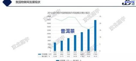 普洱茶竞争格局分析报告：全面解读行业现状与竞争者动态