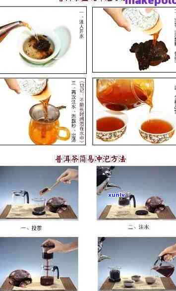 普洱茶品鉴与冲泡技巧100例：从选购到品鉴全方位解析