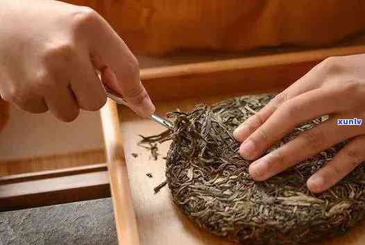 蜜香普洱茶：特点、功效与冲泡 *** 详解，让你了解这种独特普洱茶的所有信息