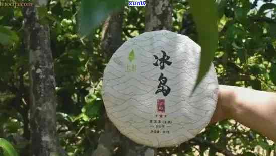 郎河普洱冰岛古树茶：品鉴顶级普洱茶，感受冰岛古树的独特魅力