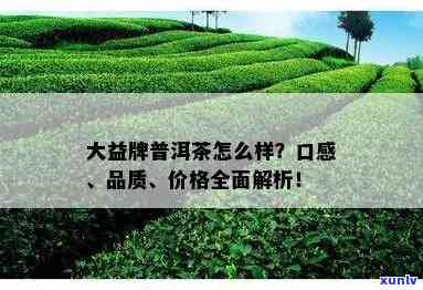 大厂普洱茶品质分析