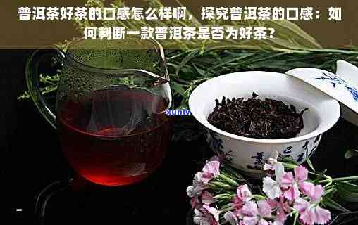 探究普洱茶的口感特点及其分析 *** 