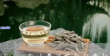 南方存普洱茶度