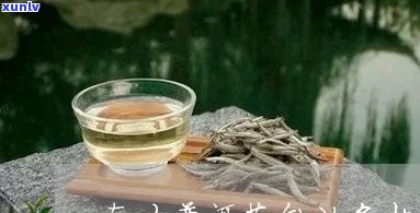 南方存普洱茶度