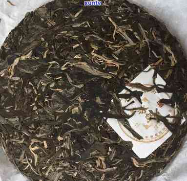 冰岛班章茶：探索四种普洱茶的魅力与区别，一次品鉴全方位体验