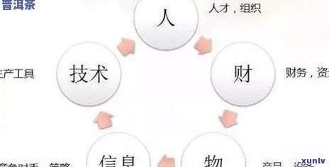 普洱茶 *** ：如何选择、加盟、经营以及市场前景全面解析