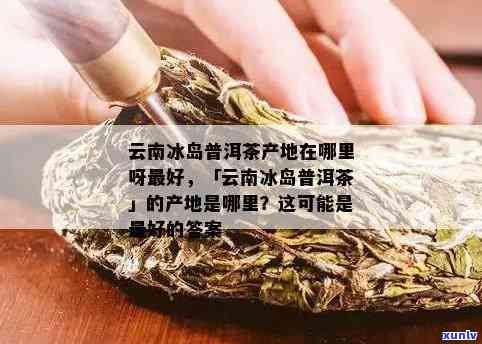 冰岛古树普洱生散茶：品种、产地、 *** 工艺与品鉴指南，解答用户所有疑问