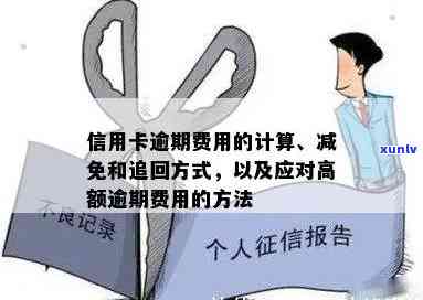 信用卡逾期费用：减免申请、追回 *** 以及标准和收取情况