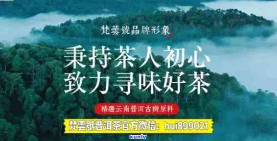 南平高端普洱茶招商：一站式招商项目，助力您成功打造普洱茶