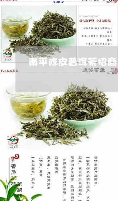 南平高端普洱茶招商