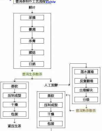 从陕西普洱茶的产地到 *** 加工全流程：一篇全面指南解答您的所有疑问