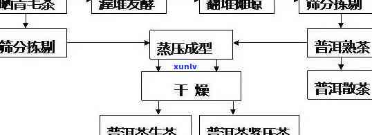 济南地区普洱茶 *** 加工的全流程及加盟条件分析