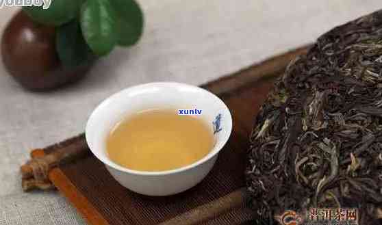 云南普洱茶：一种独特的茶叶品种及其文化意义