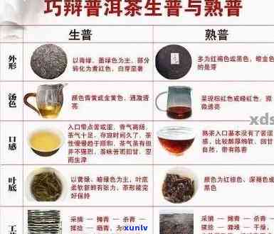 什么是普洱茶，有哪些基本特征及功效？