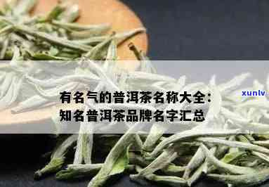 '高端普洱茶推荐：十大知名，名字大全'