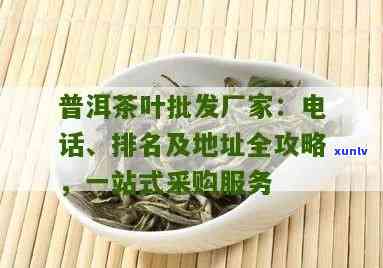 普洱茶批发网：一站式解决方案，提供优质普洱茶叶、价格参考和购买建议