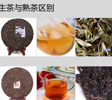 连续喝熟普洱茶一年