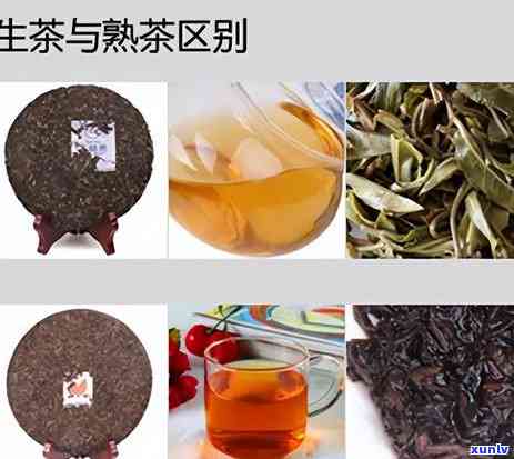 连续喝熟普洱茶一年