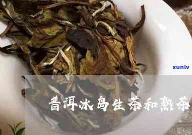 冰岛普洱生茶的色特点与对比：熟茶VS生茶哪个更好？