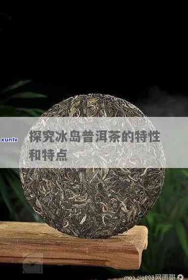 冰岛普洱茶的性质：热性还是凉性？探究其独特风味与功效