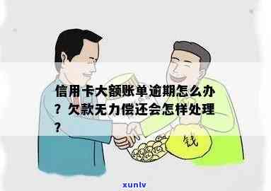 信用卡大额逾期无力还款