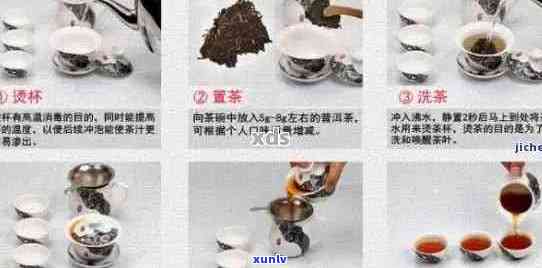 普洱茶：品质、 *** 工艺、冲泡 *** 与品鉴技巧全面解析