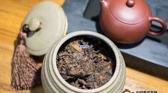 普洱茶粒粒精选口感更佳？如何正确保存与饮用？