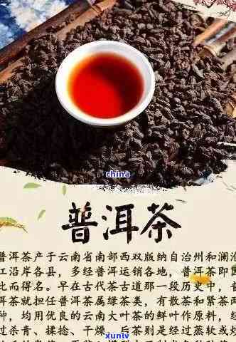 普洱茶分析介绍