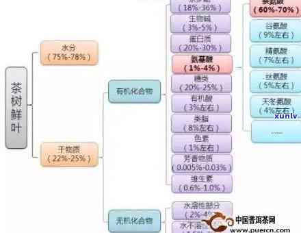 探究普洱茶生化成分的精准拼配与优化原则