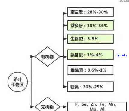 探究普洱茶生化成分的精准拼配与优化原则